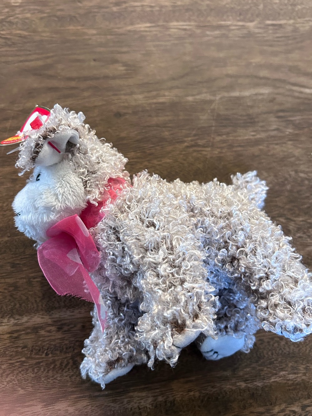 NWT Ty Original Beanie Baby Snookums Dog Curly Hair 2004 Release Plush Collect - Picture 3 of 8